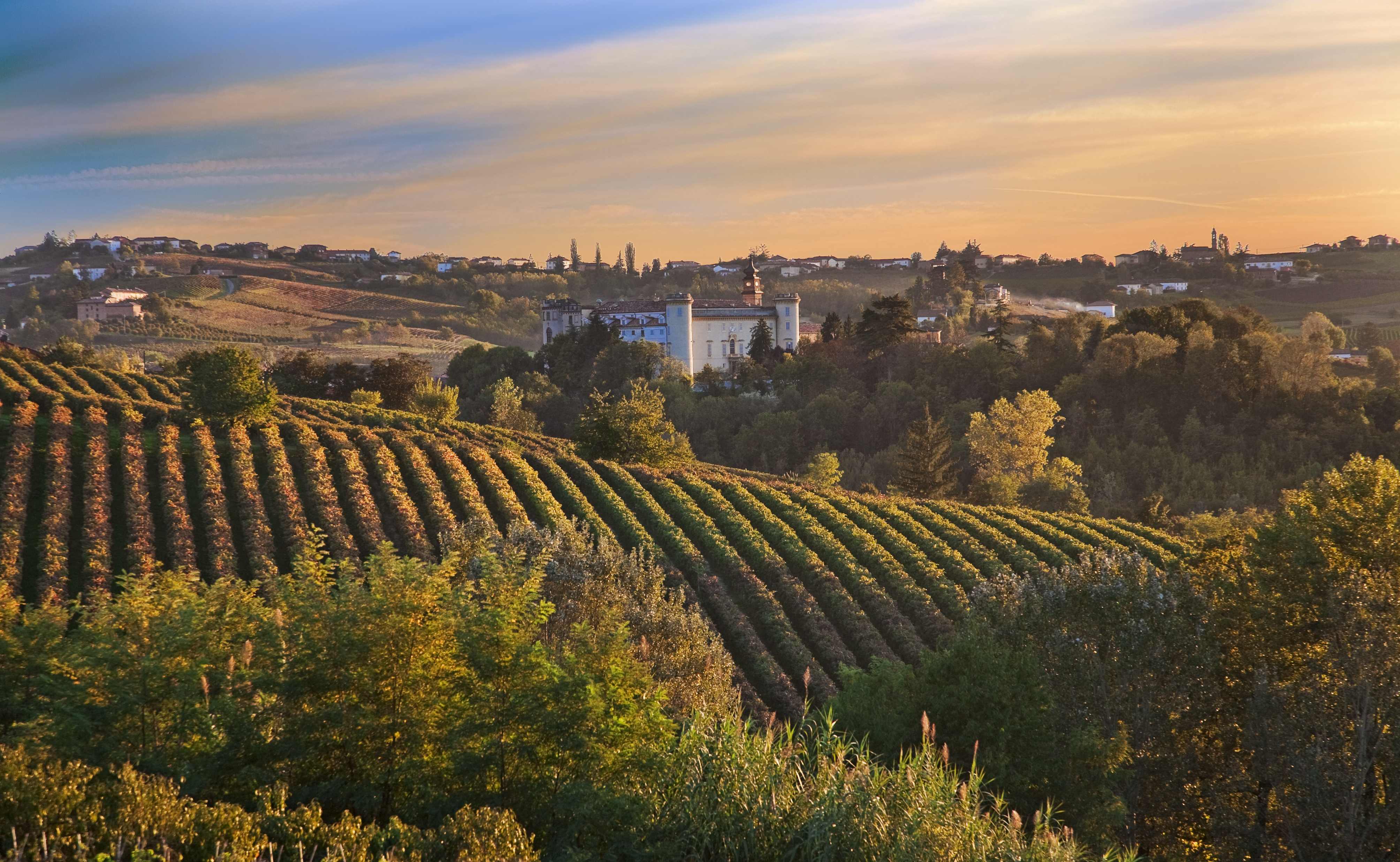 Premium Italian Wines – WineCollective Blog
