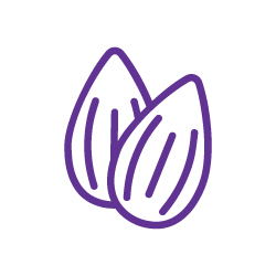 icon of an almond tasting note