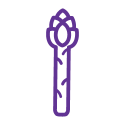 icon of an asparagus tasting note