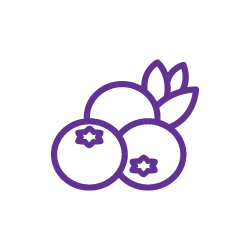 icon of a blueberry tasting note