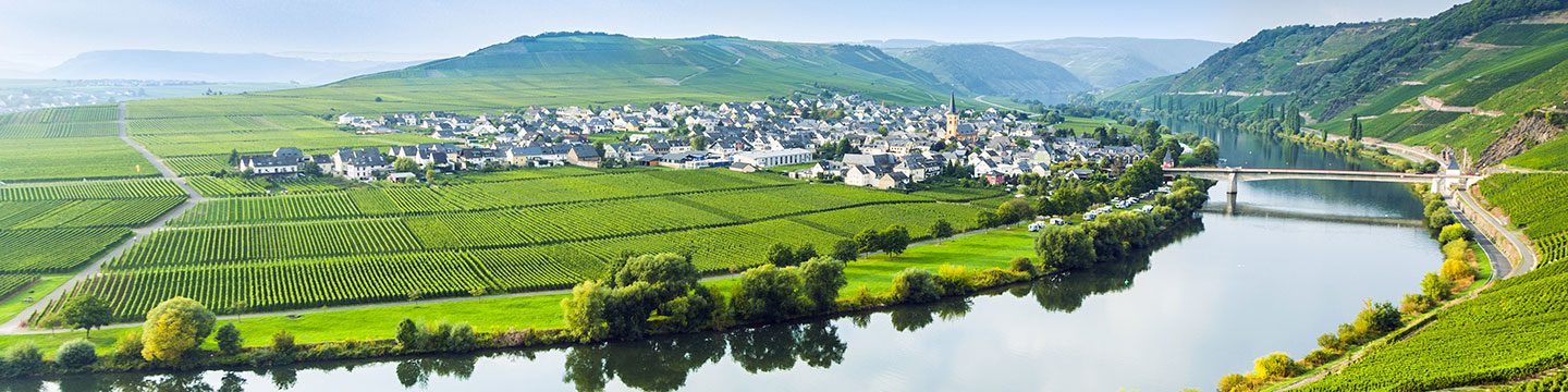 Wines of Germany: steep slopes of the Mosel