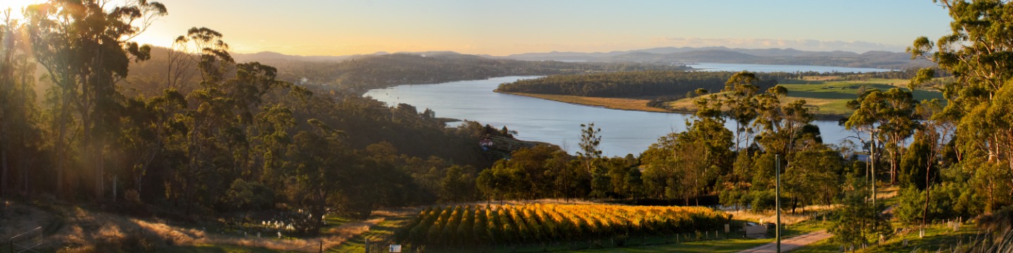 Vineyards across the coast of Tasmania, Australia. A New World wine region